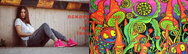 стаф Арсеньев